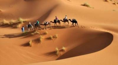 Пустыня Сахара не настолько пуста, как кажется (6 фотол) - chert-poberi.ru