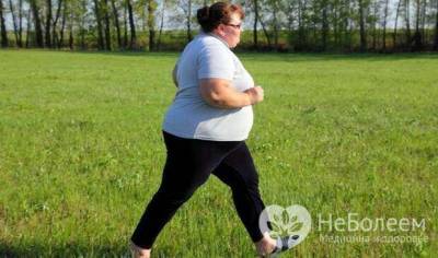 6 типов ожирения и способы борьбы с каждым из них - lublusebya.ru