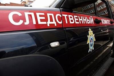 СК начал проверку по случаю в Сатке, где собака откусила часть губы у ребенка - mur.tv - Челябинская обл.