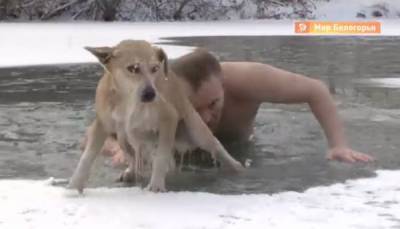 Александр Сашнев - Белгородский журналист рассказал, как спас тонущую собаку из полыньи: немного отморозил пальцы - mur.tv - Москва