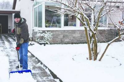 Уход за садом зимой: необходимые мероприятия - sadogorod.club