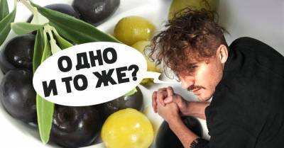 Повар с прозвищем «ходячая энциклопедия» рассказывает, почему маслины равны оливкам - lifehelper.one
