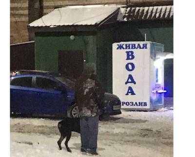 Собака прокусила ногу смолянину - mur.tv - Смоленск