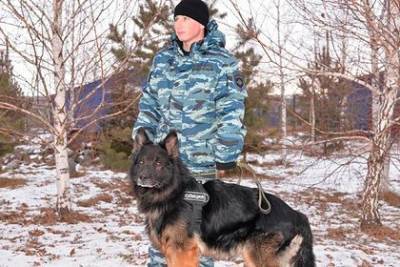 Российская полицейская овчарка учуяла преступников за два километра - mur.tv - Абакан