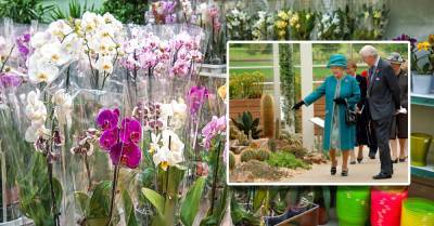 принцесса Елизавета - Почему нельзя дарить и принимать в дар орхидеи - takprosto.cc - Англия
