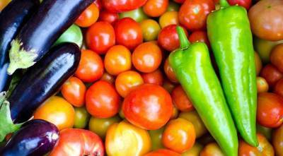 Семена томатов, перцев и баклажанов: краткая подсказка по выбору сортов овощей для посева на рассаду - sadogorod.club