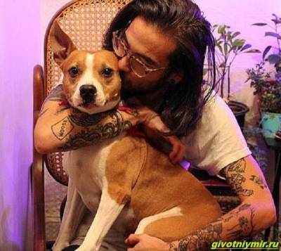 История о мужчине, который не пожелал расставаться с собакой, принадлежащей фирме - mur.tv