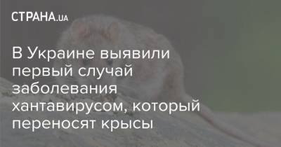 В Украине выявили первый случай заболевания хантавирусом, который переносят крысы - mur.tv - Украина - Киев