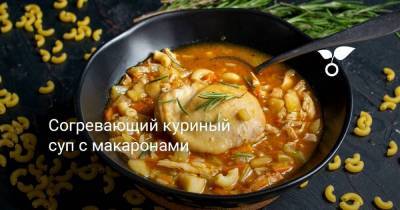 Согревающий куриный суп с макаронами - sadogorod.club
