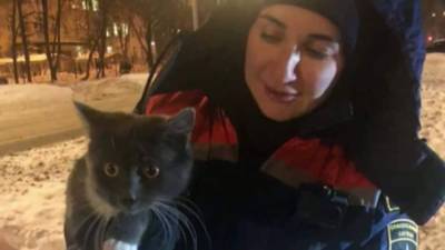 Шестиклассник помог достать кошку из воздуховода в Москве. - mur.tv - Москва