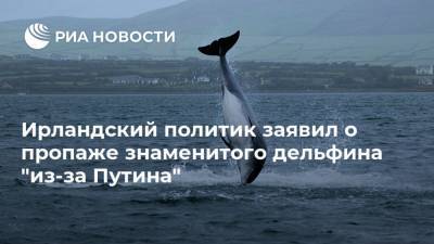 Владимир Путин - Нед Осалливан - Ирландский политик заявил о пропаже знаменитого дельфина “из-за Путина” - mur.tv - Россия - Москва - Ирландия