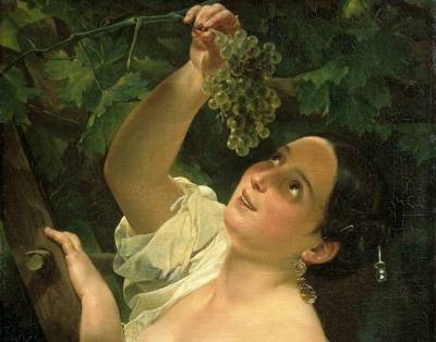 Как вырастить виноград из саженца? - lifehelper.one