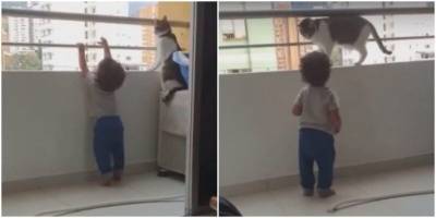 Заботливый кот следит, чтобы ребёнок не выпал с балкона - mur.tv - Колумбия