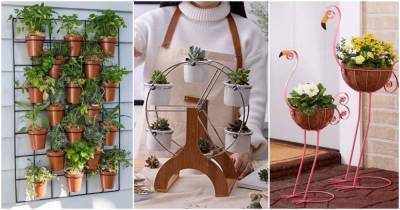 17 подставок для растений, чтобы эффектно показать все ваши комнатные растения - lifehelper.one