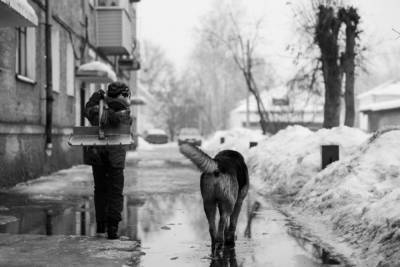 Весна в январе: гуляем с собакой в оттепель - mur.tv - Россия