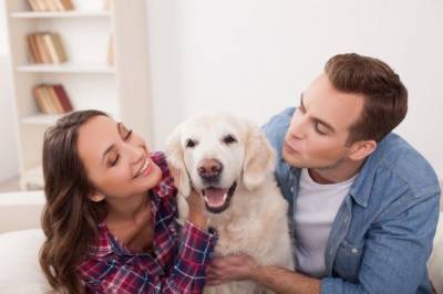 7 вещей перед покупкой собаки, которые надо согласовать на семейном совете - mur.tv