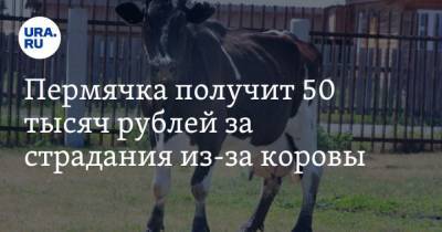 Пермячка получит 50 тысяч рублей за страдания из-за коровы - mur.tv - Пермь - Пермский край