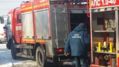 Две собаки погибли в результате пожара в севастопольском приюте - mur.tv