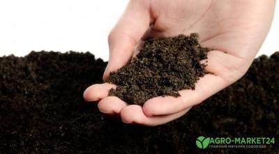 Почва для рассады: как улучшить купленный грунт - sadogorod.club
