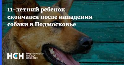 Ольга Врадий - 11-летний ребенок скончался после нападения собаки в Подмосковье - mur.tv - Московская обл.
