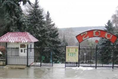 В Кишиневском зоопарке звери третий день не могут есть из-за фейерверков - mur.tv - Кишинев