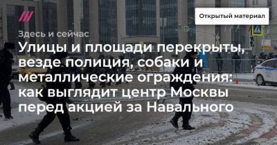 Улицы и площади перекрыты, везде полиция, собаки и металлические ограждения: как выглядит центр Москвы перед акцией за Навального - mur.tv - Москва