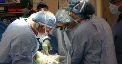 Максим Степанов - В Украине заработала система трансплантации органов и тканей - womo.ua - Украина