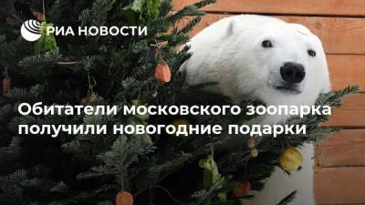 Обитатели московского зоопарка получили новогодние подарки - mur.tv - Москва