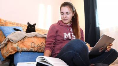 Кошки способны помочь справиться хандрой хозяевам на удаленке - mur.tv - республика Крым - Симферополь