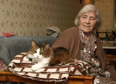 Кошка для пожилого человека: разбираем за и против - mur.tv