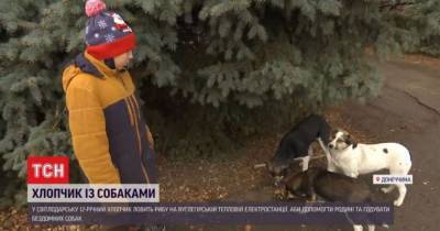 Мальчик-рыбак из Донбасса спасает бездомных собак: история доброты - mur.tv