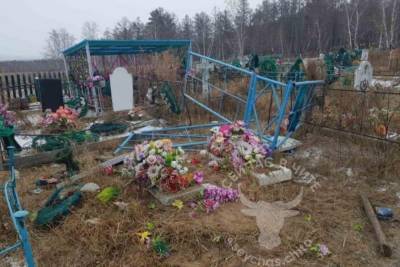 Убегавшие от собак коровы разрушили могилы на кладбище в селе Забайкалья - mur.tv - Чита