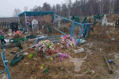 Убегавшие от собак коровы в Сивяково разрушили несколько могил на кладбище - mur.tv