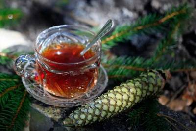 Чай из хвои — витаминная бомба, которая готовится всего за 15 минут! Рецепт - nashsovetik.ru