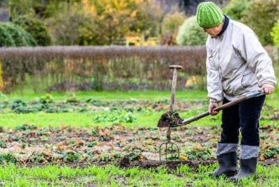 Ошибки при подготовка огорода к зиме, которые снизят урожайность в будущем году - sadogorod.club