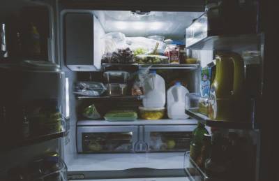 Светлана Протас - Зачем опытные хозяйки кладут в холодильник мешочек с активированным углем - belnovosti.by