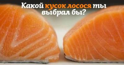 Работала в Польше на заводе красной рыбки, расскажу, какой лосось вкуснее - lifehelper.one - Польша