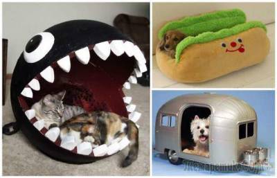 15 невероятных домиков для кошек и собак, которые заставят улыбнуться - milayaya.ru