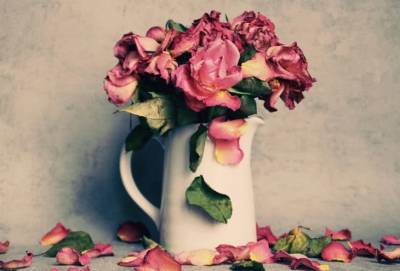 Как дольше сохранить розы в вазе с водой, чтобы стебли не гнили: секреты настоящей хозяйки - belnovosti.by