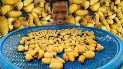 Мужчина ест то, что вам и в страшных снах не приснится - lifehelper.one - Камбоджа