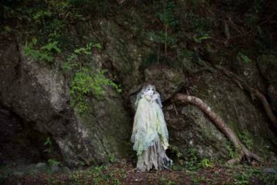 Лес самоубийц Аокигахара в Японии площадью 3000 гектаров - chert-poberi.ru - Сан-Франциско - Япония - Токио