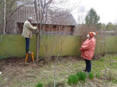 Лунный календарь садовода: проводим осеннюю обрезку деревьев - sadogorod.club