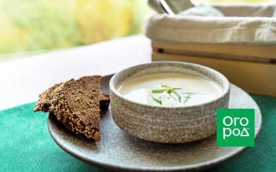 7 молочных супов со всего света – лучшие рецепты - sadogorod.club