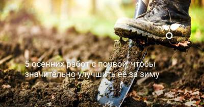 5 осенних работ с почвой, чтобы значительно улучшить её под зиму - sadogorod.club