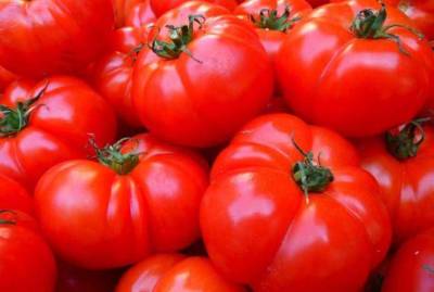 Вырастут крепкими и здоровыми: как правильно сажать помидоры под зиму - sadogorod.club