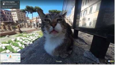 20 самых смешных и странных кадров Google Street View (18 фото) - chert-poberi.ru