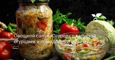 Овощной салат «Огород» с капустой, огурцами и помидорами на зиму - sadogorod.club