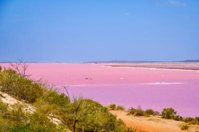 Как создать на подоконнике австралийский пейзаж с розовым озером? - shkolazhizni.ru - Австралия - Англия