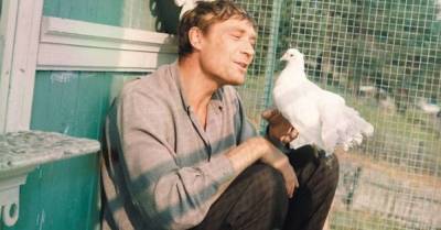 Владимир Меньшов - Почему фильм «Любовь и голуби» у меня вызывает резкое отторжение - lifehelper.one
