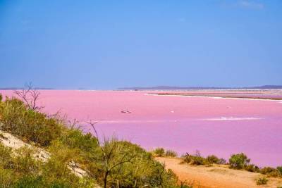 Как создать на подоконнике австралийский пейзаж с розовым озером? - lifehelper.one - Австралия